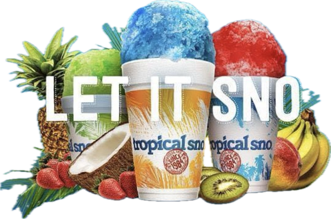 Tropical Sno Desserts logo