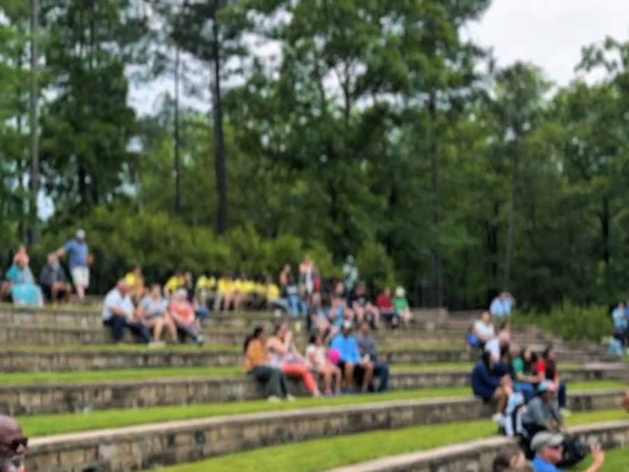 Families watching the show from the amphitheater lawn